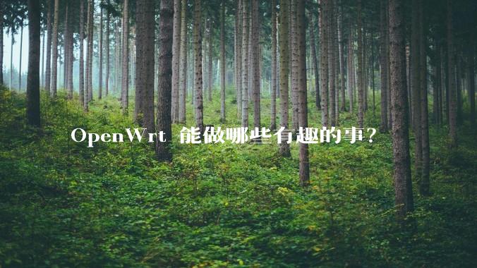 OpenWrt 能做哪些有趣的事？
